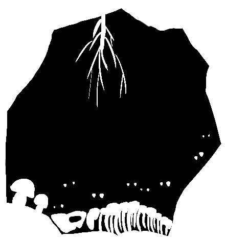 Cave